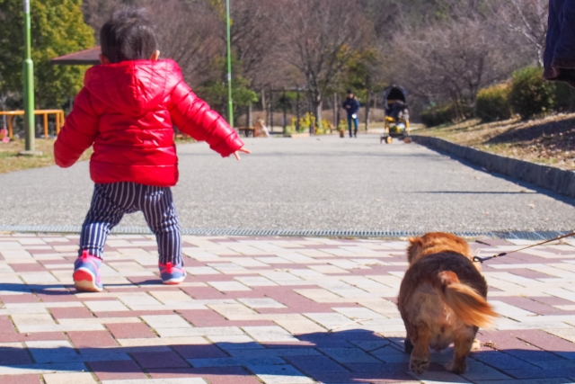 鬼ごっこ